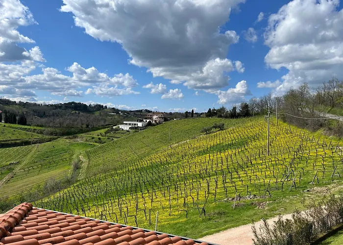 Podere Baratta agriturismo e cantina