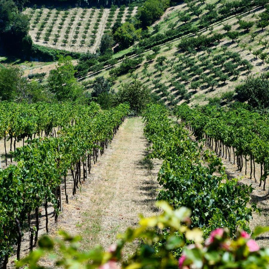 Podere Baratta E Cantina Bauernhof