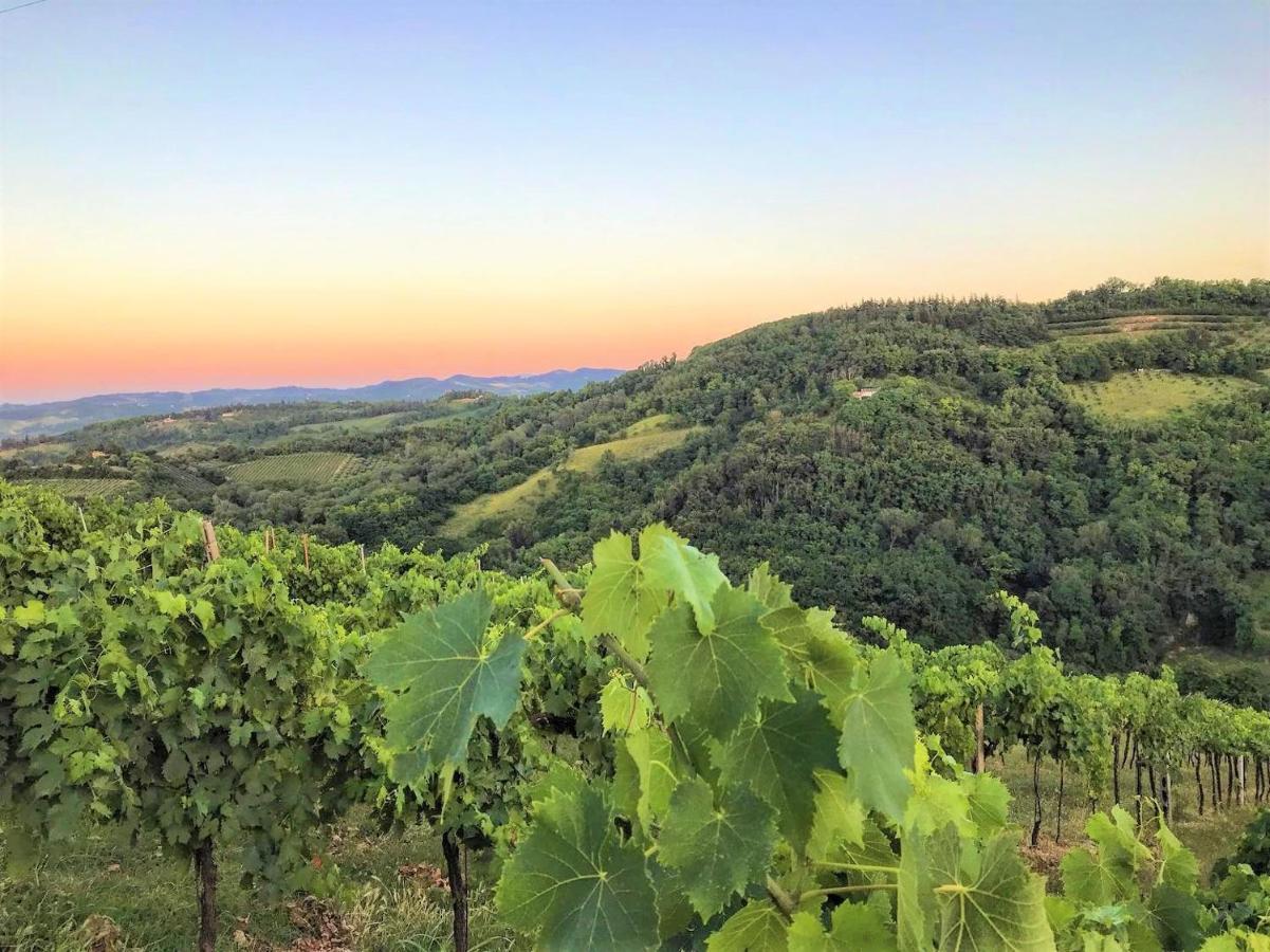 Bauernhof Podere Baratta E Cantina Collinello