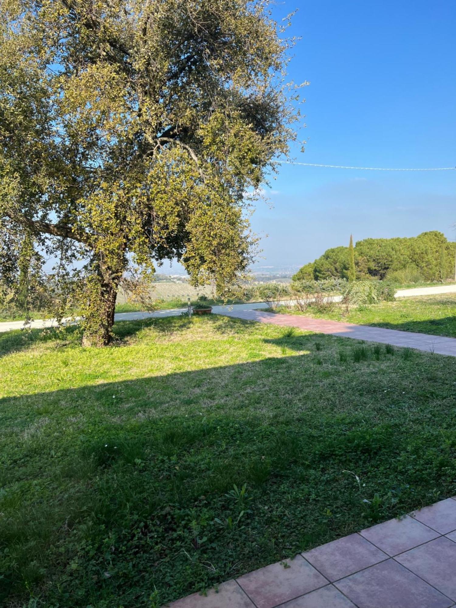 Podere Baratta E Cantina Bauernhof