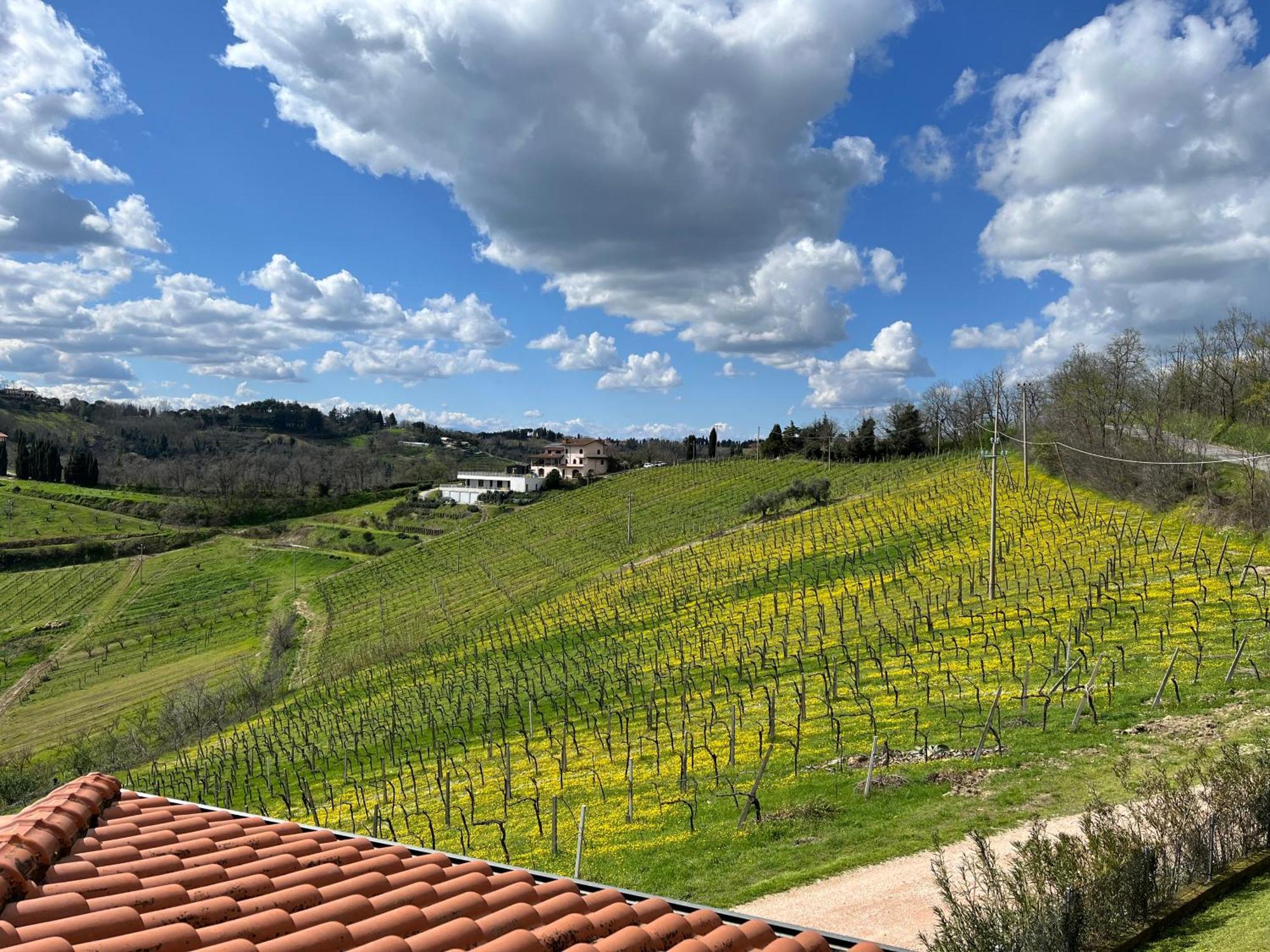 Podere Baratta E Cantina Collinello